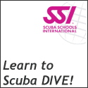 SSI Online Training & Online Services