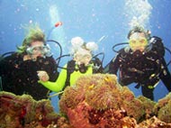 Taucherfamilie