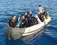 Tauchsafari im Roten Meer